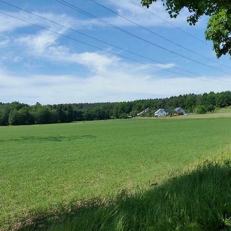 Ferienwohnung "Am Weinberg" Bad Schmiedeberg Eksteriør billede