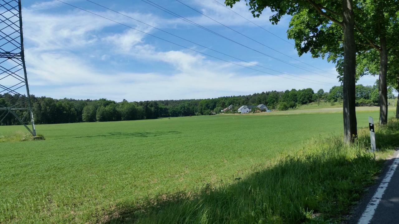 Ferienwohnung "Am Weinberg" Bad Schmiedeberg Eksteriør billede