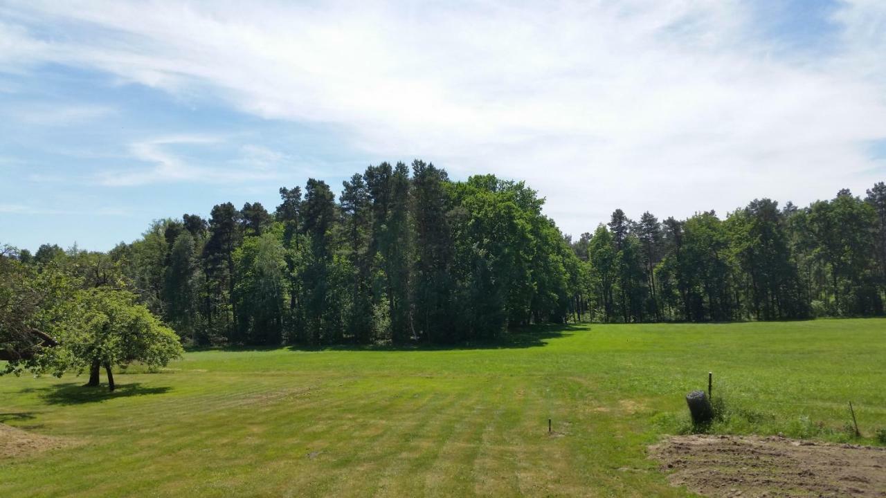 Ferienwohnung "Am Weinberg" Bad Schmiedeberg Eksteriør billede